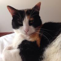 Eliana Pasarán (@elianapasaran) 's Twitter Profile