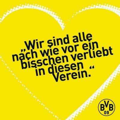 I love BVB