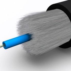 Tutti nascono unici, solo alcuni continuano a esserlo