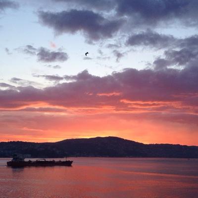 allison_ar's profile picture. 