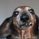 Dexter Ferrell - @DexterFerrell_ - Twitter