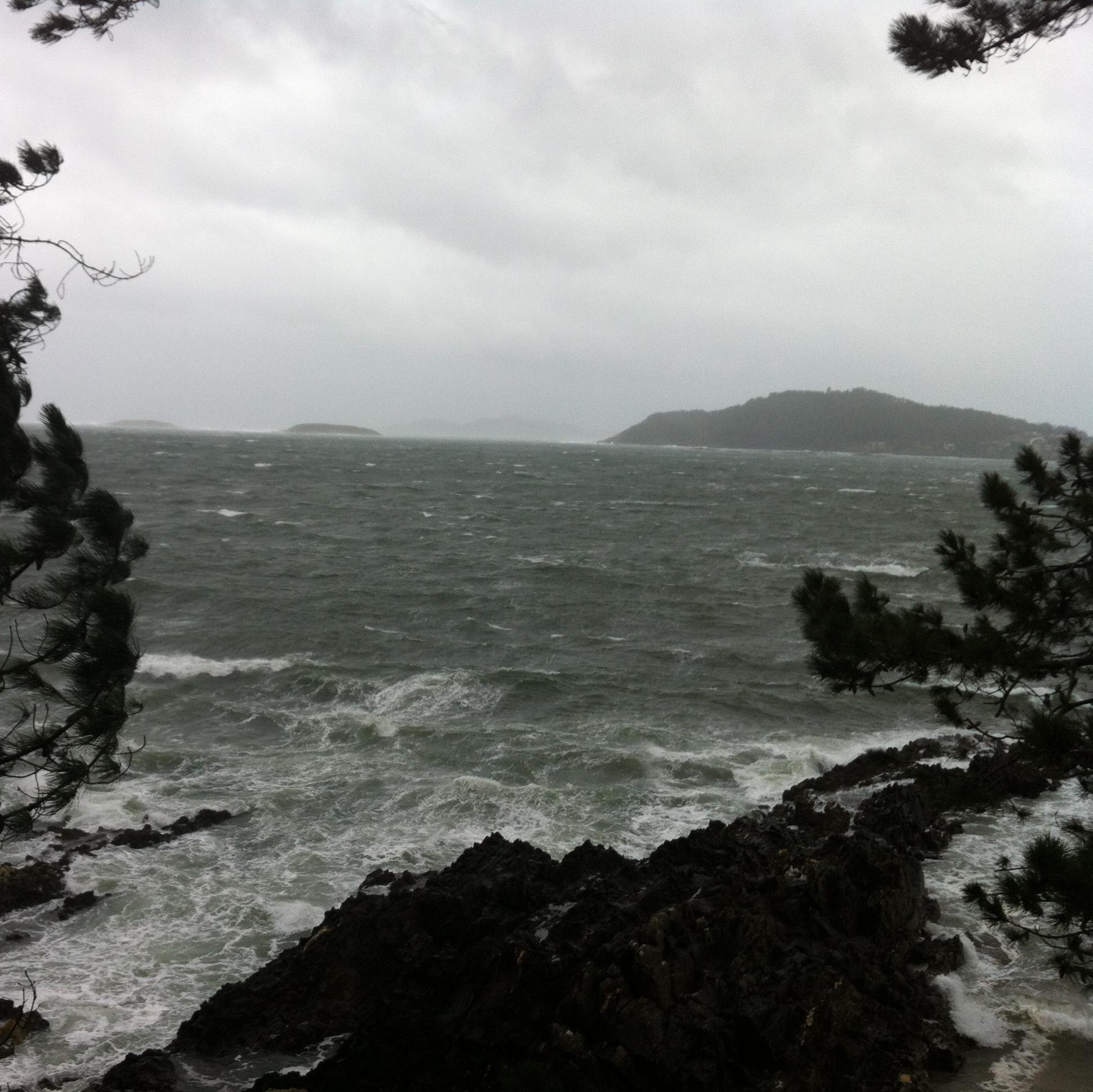 vivir_nigran's profile picture. 