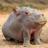 BiscuitHeadFive's profile image