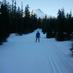 Teacup Lake Nordic (@teacupnordic) Twitter profile photo