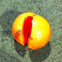 marc & beth jordan (@c58eth) 's Twitter Profile Photo