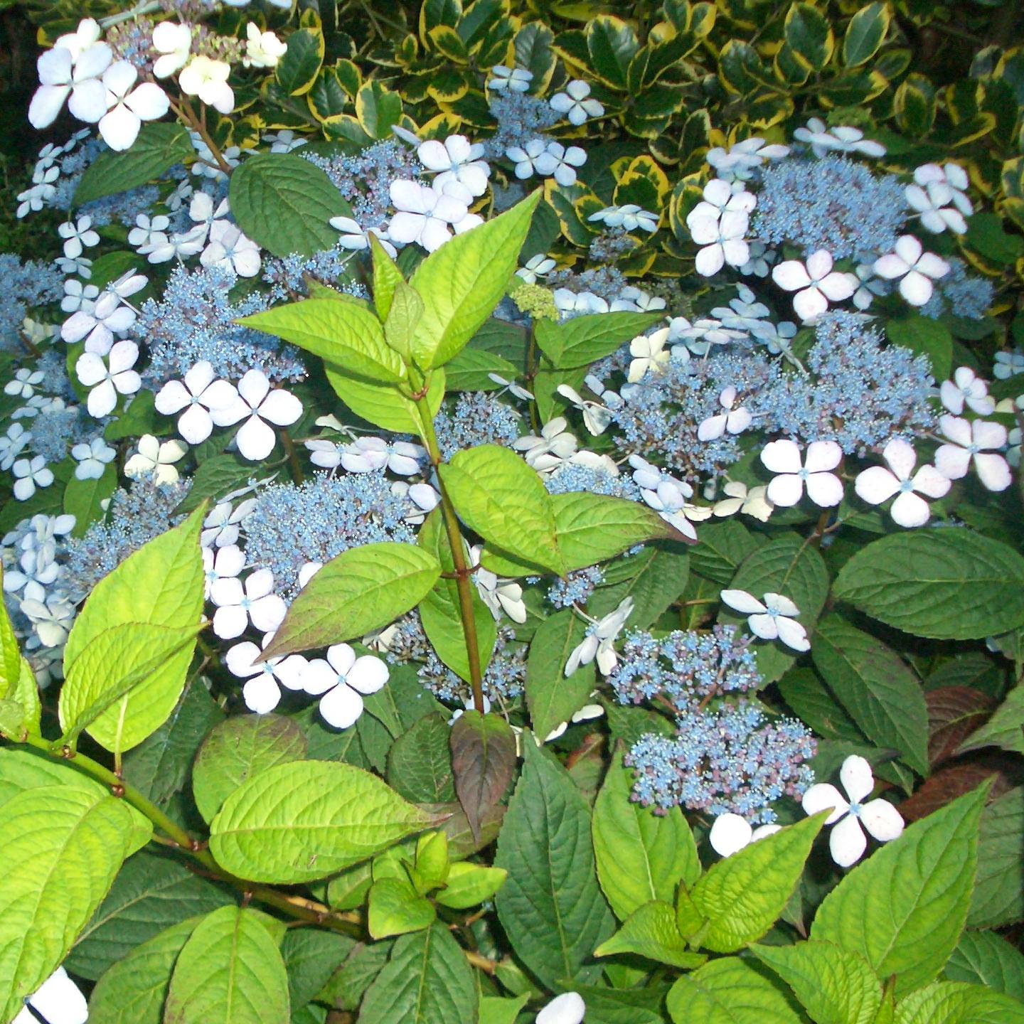 TitiBadoi's profile picture. Mother. Grandmother. Wife. Daughter. Chemist. Love God & Jesus Christ.