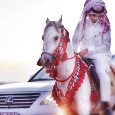 mr_albalwi's profile picture. ..(( أَمْتَلِكْ ثَمَانِيةَ وَعِشّرُونَ حَرْفاً أُغَرِدُ بِهَا كَمَا يَحْلُو لِيْ )).. المدير التنفيذي لرابطة مصوري تبوك