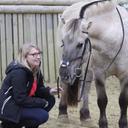 Mélanie Ernest - @Mela416 - Twitter