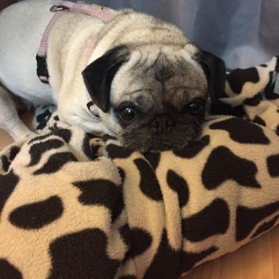 Hurty_3's profile picture. 