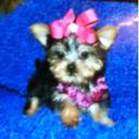 Madison felder - @felder_madison - Twitter