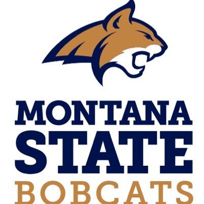 Thijs_Goossens's profile picture. Deputy Athletic Director / CFO.       Montana State University Bobcats.