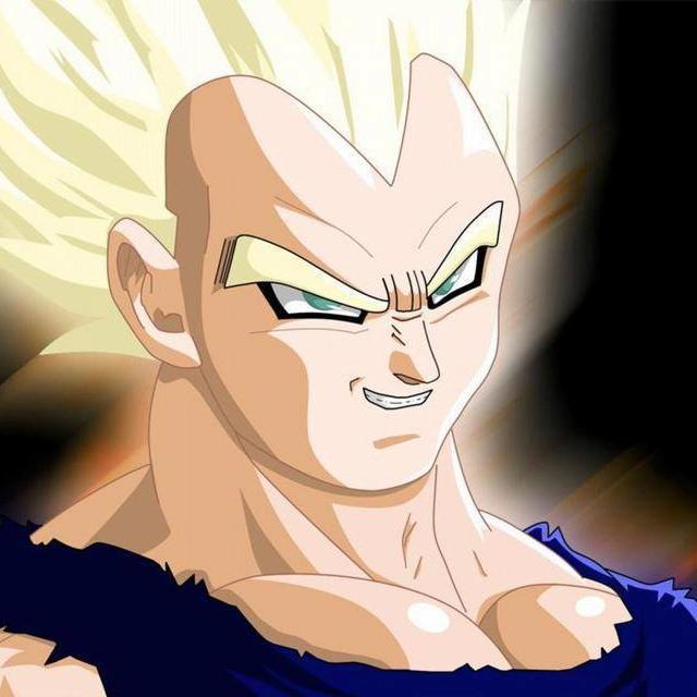 Guerreros Z y saiyajin DBZ