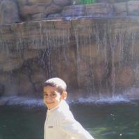 alper bingöl (@alperbingl1) 's Twitter Profile