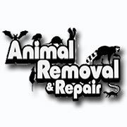 We are committed to protecting our customers from the dangerous animals in your area. Don't wait until it's too late. Call us today at  ​855-662-8842