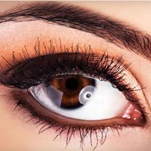 perfact brow arch perfactbrowarch twitter perfact brow arch perfactbrowarch twitter