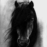 Supporter of Music and Art and People who need it. I #follow and #RT new music and art. Follow me to see what Music and Art I find.