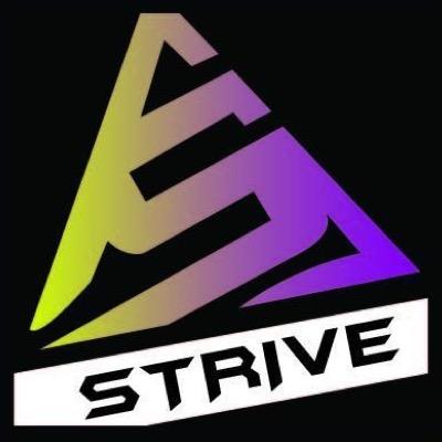 StriveGaming_'s profile picture. 