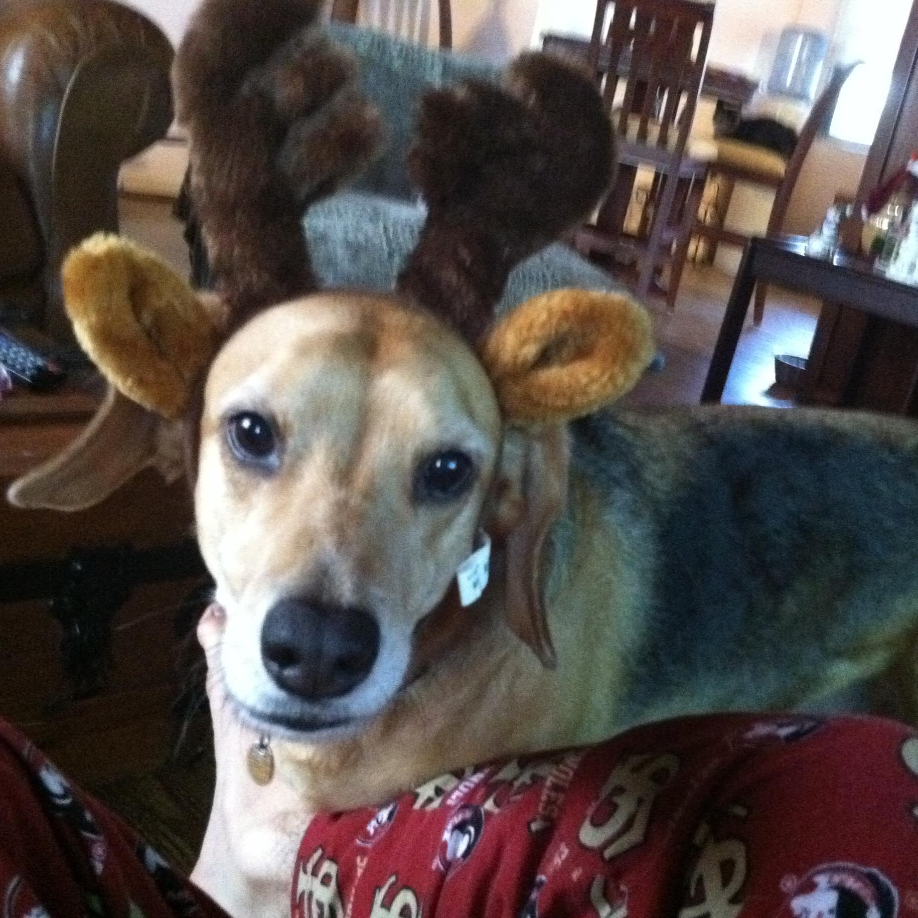 jdn12b's profile picture. 