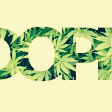 stay high