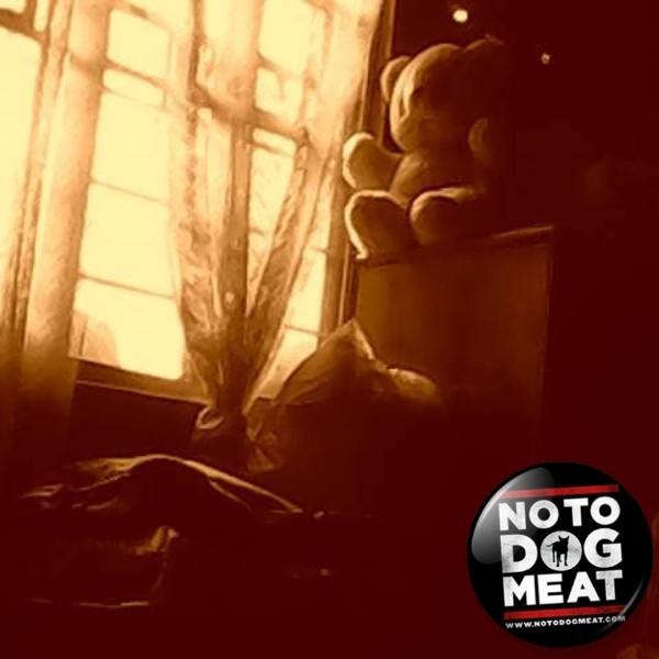 vejerta09's profile picture. 