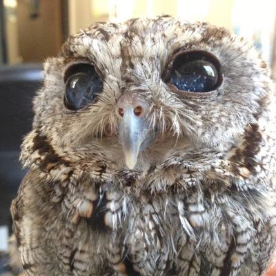 stephendarley's profile picture. 