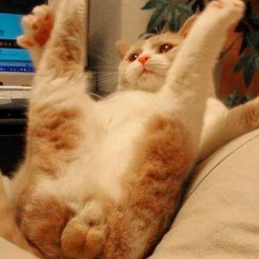 Denver_Rome's profile picture. 