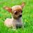ronaldito_456's profile image