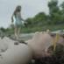 Take Me to the River (@tmttrthemovie) Twitter profile photo