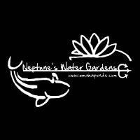 omahaponds's profile picture. 