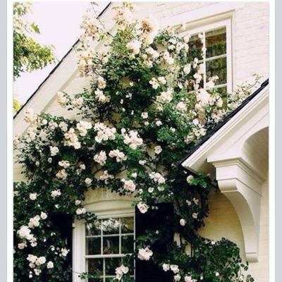 mrs_1941's profile picture. 