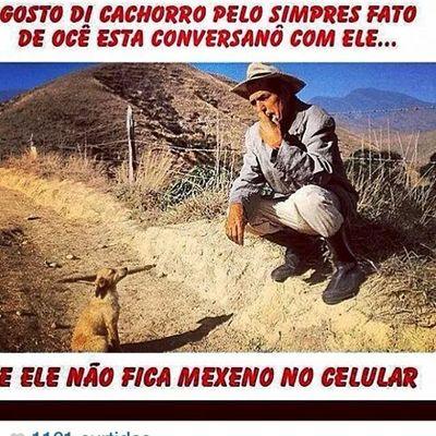 Na minha vida nada mais fais sentido