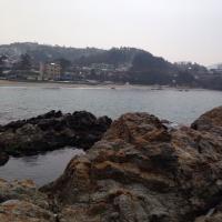 jj (@skierjin) 's Twitter Profile