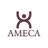 AMECA2020's profile image