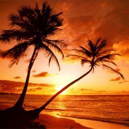 eloop12's profile picture. Not enough time in the day to get it all done, but always on the move.#teamnatural