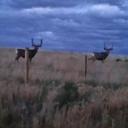 Lee Hammons - @leehammibs - Twitter