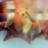 veronica_hinman's profile image