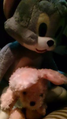ちーるでした。                  ちーるに関わってくださった全ての皆様がだいすきです。忘れないよ、ばいばい。元気でね    2014/12/04