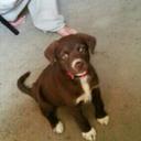 Jared Dalton - @DsJared - Twitter