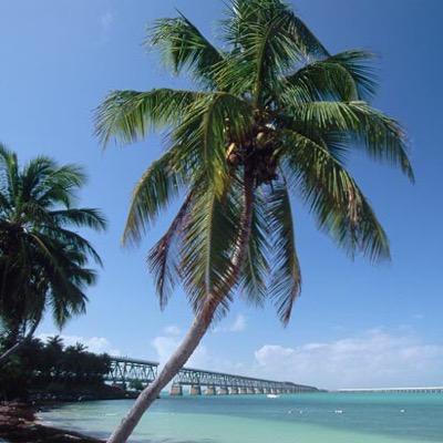 Every re-Tweet is about sunnyside #Florida. If you friend me, I will always friend back ☀️