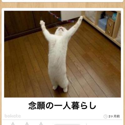 社会人になって、ガムシャラに働き、今は30代半ば。今のままではダメだと思いながらも何をして良いか分からず。ネットの情報は何を信じて、いろんな情報を買っては上手くいかず。そんな中、信じらる情報に出会えた今、人生が変わる気がする