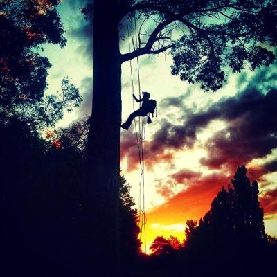 Climber, rigger, traveller, splicer.