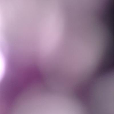 lmonicamoreno's profile picture. 12345