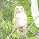 Andrea Knapp - @annieknapp28 - Twitter