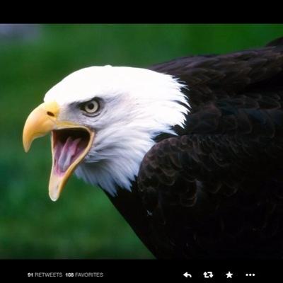 🇺🇸Conservative / Wife / Mother (of 2 Beautiful Geniuses) / ⚜️Proud Ragin Cajun ⚜️