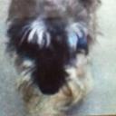 norma Briones - @BrioneszNorma - Twitter