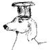 The Barking Baker (@barkingbaking) Twitter profile photo