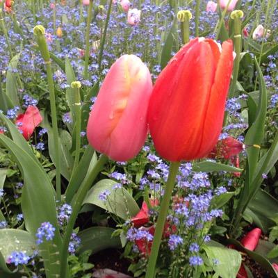 AuntAndrea1's profile picture. 