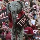 GDutton - @GeraldDutton - Twitter