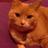 WD_Pearson's profile image