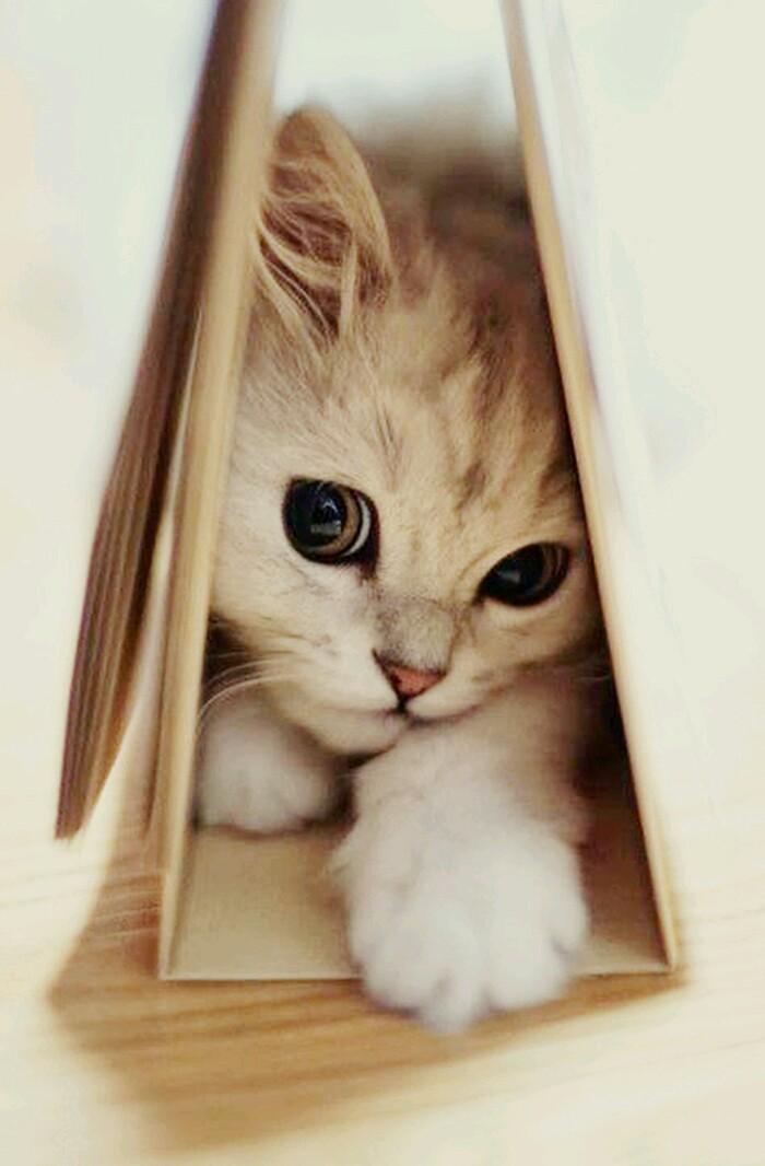 呑んだくれ～(*^^*)